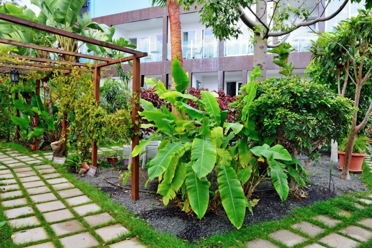 Apartamentos Adjovimar Los Llanos De Aridane Exterior photo